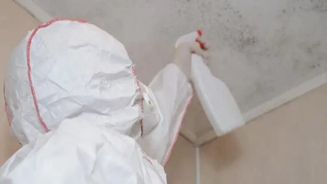 Person in protective gear spraying mold on a ceiling