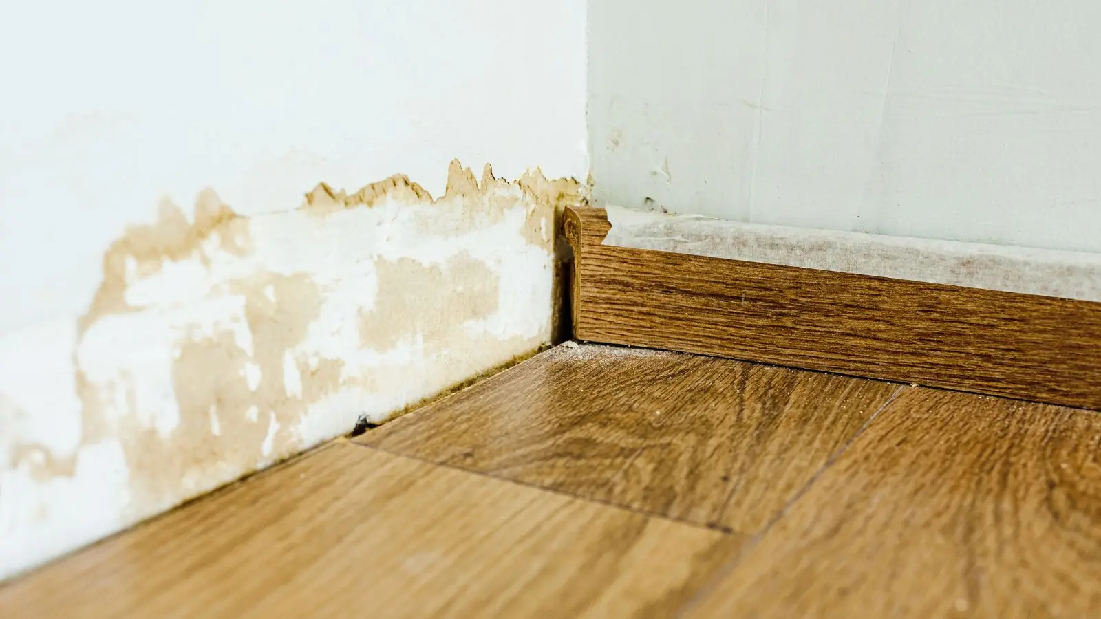 Water stained wall and lifted baseboard above a wood floor
